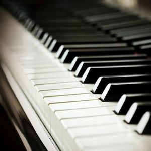 视频版下载免费黄网
