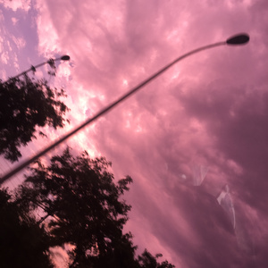 视频版下载免费黄网
