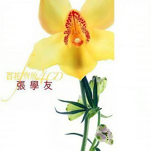 视频版下载免费黄网
